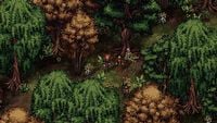 Deweloperzy znakomitego RPG w stylu Gothica przedstawili plany na przyszłość. Drova: The Forsaken Kin posłuży za fundament dla ich nowej gry