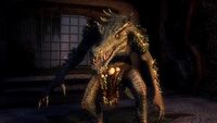 W latach poprzedzających debiut The Elder Scrolls 6 fani marki nie będą narzekać na nudę. Wszystko dzięki Skywind i Skyblivion