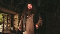 „Nigdy nie będę Robbiem”. Nowy aktor zdradza, jak podejdzie do roli uwielbianego Hagrida w serialu Harry Potter