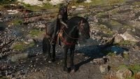 Wiedźmin 4 może pobić Red Dead Redemption 2, jeśli chodzi o realizm koni. Ekspertka jest zachwycona klaczą Ciri i uważa ją za jedną z najlepszych w grach