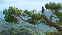 Assassin’s Creed: Shadows dostanie za darmo nowe zadanie i sojusznika. Ubisoft wprowadzi także kilka wyczekiwanych przez graczy funkcji