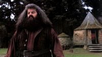 Kostium Hagrida z serialu Harry Potter zrobił wrażenie na fanach HP. Pojawiły się również wieści o 2. sezonie produkcji HBO Max
