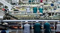 Przez AI do 2030 roku znikną 92 miliony miejsc pracy. Firmy ukrywają używanie sztucznej inteligencji za korporacyjnym językiem