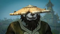 Gracze uwielbiają WoW: Mists of Pandaria Classic - ale powoli zaczynają zdawać sobie sprawę z pewnej rzeczy