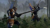 To miały być tylko szybkie pieniądze na stworzenie wymarzonego RPG fantasy. Los chciał jednak inaczej i teraz Total War to kultowa seria gier strategicznych
