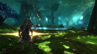 Dobre wyniki sprzedaży gry Kingdoms of Amalur: Reckoning w Stanach Zjednoczonych