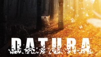 Aktualizacja polskiego PS Store (Datura, Binary Domain, wyprzedaż gier z serii PixelJunk)