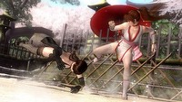 Ujawniono zawartość Edycji Kolekcjonerskiej gry Dead or Alive 5