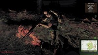 DayZ - pół miliona graczy w modyfikacji do gry Arma II