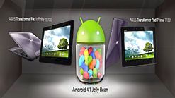 Tablety ASUSa zaktualizowane do Androida 4.1 Jelly Bean