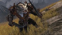 Jakie zmiany czekają Guild Wars 2? – ArenaNet mówi o swoich planach