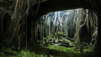 Dragon Age III ukaże się w 2014 roku wyłącznie na konsole nowej generacji?