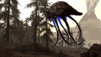 Pierwsze 15 minut z dodatku Dragonborn do Skyrim –– zobacz jak zaczyna się nowe DLC
